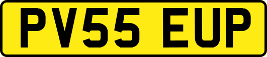PV55EUP