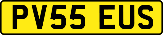 PV55EUS