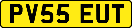 PV55EUT