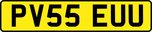 PV55EUU