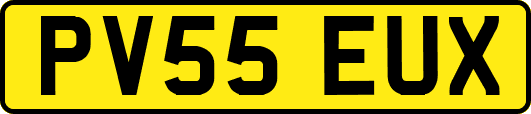 PV55EUX