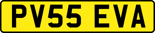 PV55EVA