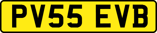 PV55EVB