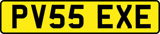PV55EXE