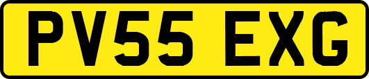PV55EXG
