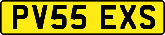 PV55EXS