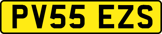 PV55EZS