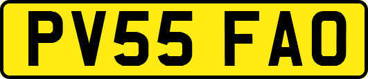 PV55FAO