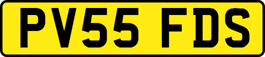 PV55FDS