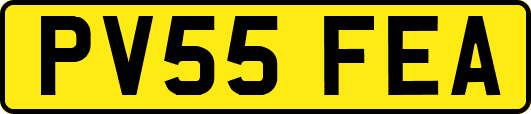 PV55FEA