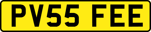 PV55FEE