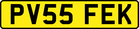 PV55FEK