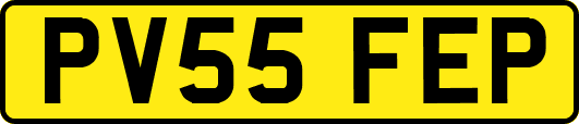 PV55FEP