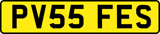 PV55FES