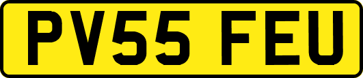 PV55FEU