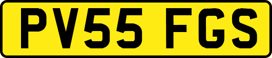 PV55FGS
