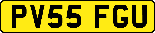 PV55FGU