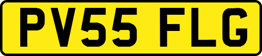 PV55FLG