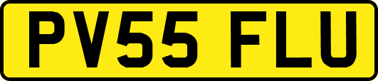 PV55FLU