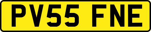 PV55FNE