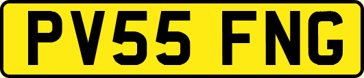 PV55FNG