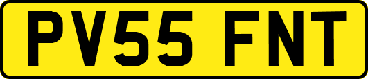PV55FNT