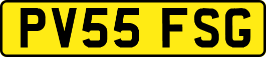 PV55FSG