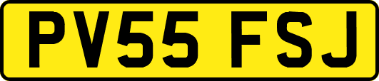 PV55FSJ