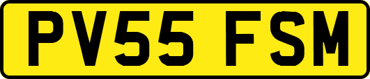 PV55FSM