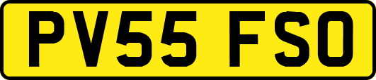 PV55FSO