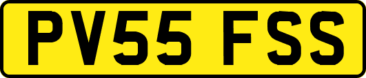 PV55FSS