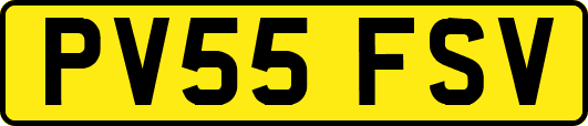PV55FSV