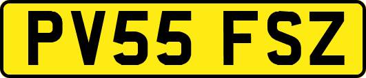 PV55FSZ