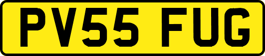 PV55FUG