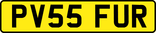 PV55FUR