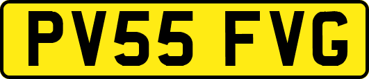 PV55FVG