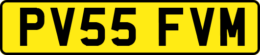 PV55FVM