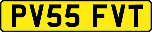 PV55FVT