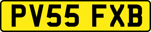 PV55FXB