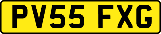 PV55FXG