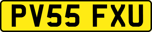 PV55FXU
