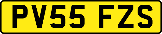 PV55FZS