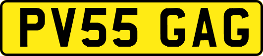 PV55GAG
