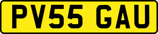 PV55GAU