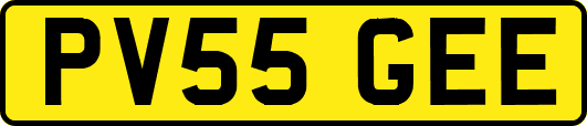 PV55GEE