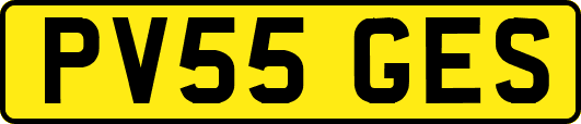 PV55GES
