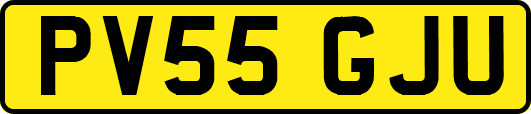 PV55GJU