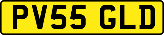 PV55GLD