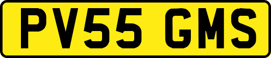 PV55GMS