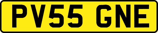 PV55GNE